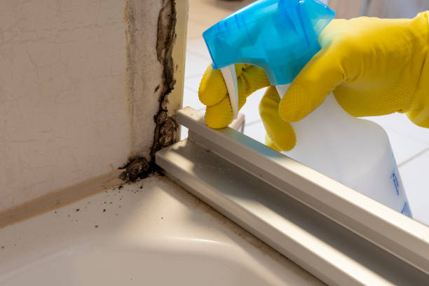 Vista Center, NJ Mold Removal Company